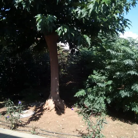 Monolocale Nel Verde *